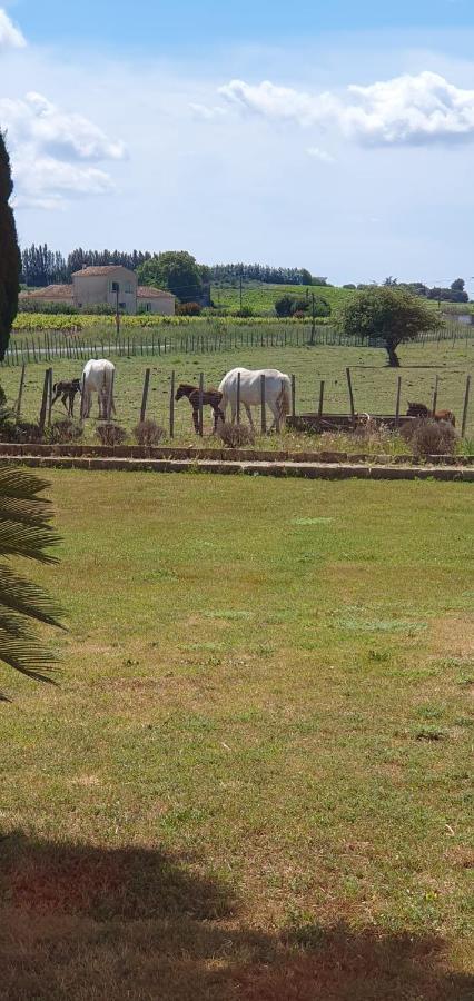 Les Bonbonnettes Bed & Breakfast Le Cailar ภายนอก รูปภาพ